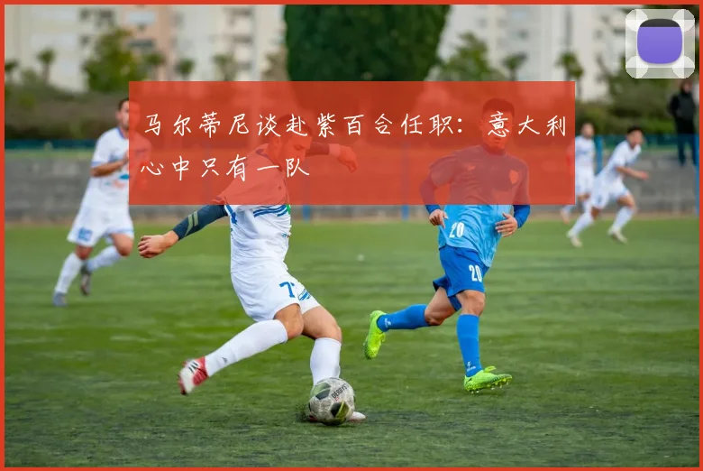 马尔蒂尼谈赴紫百合任职：意大利心中只有一队