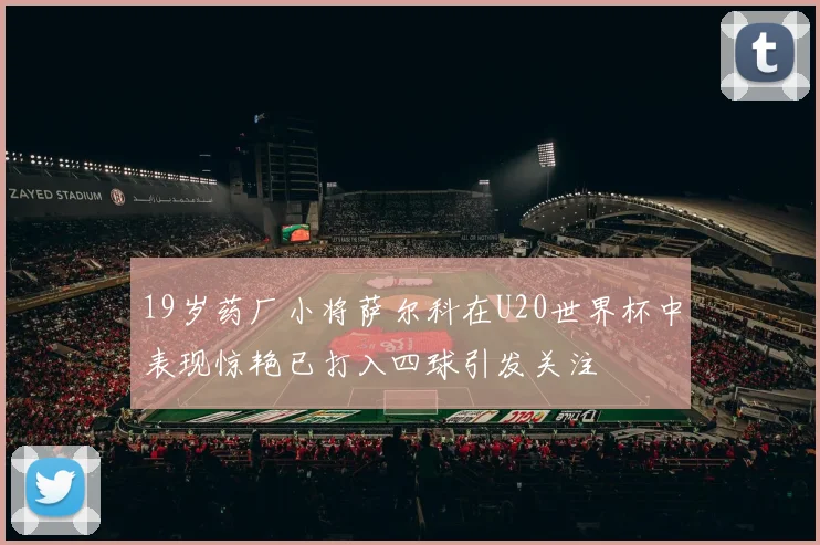 19岁药厂小将萨尔科在U20世界杯中表现惊艳已打入四球引发关注